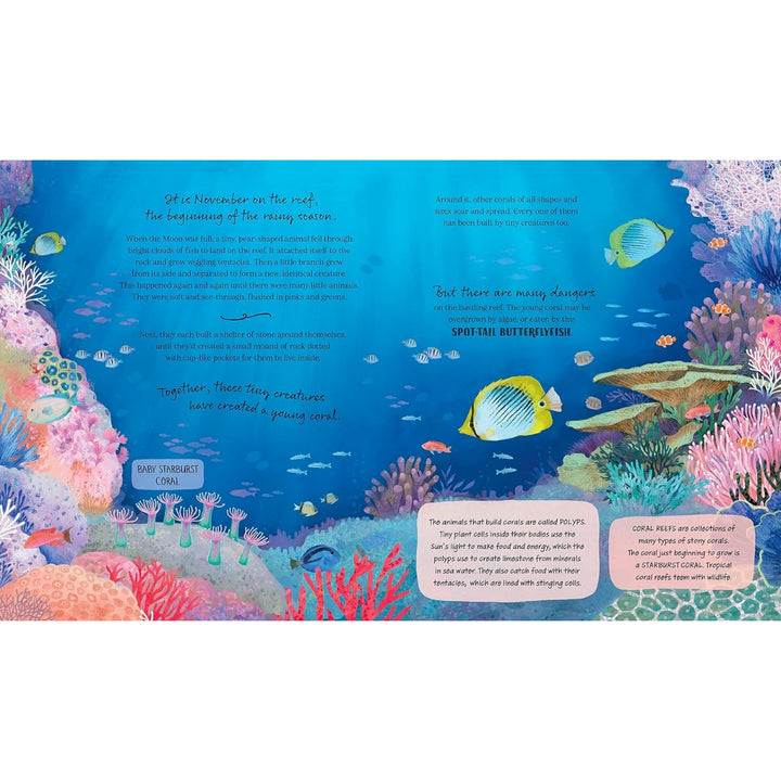 Coral Reef Story: Animal Life in Tropical Seas