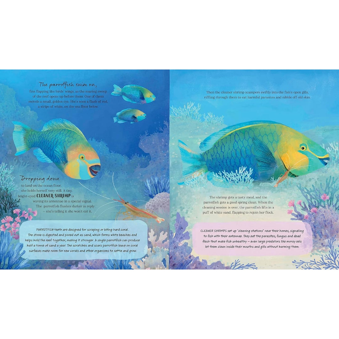 Coral Reef Story: Animal Life in Tropical Seas