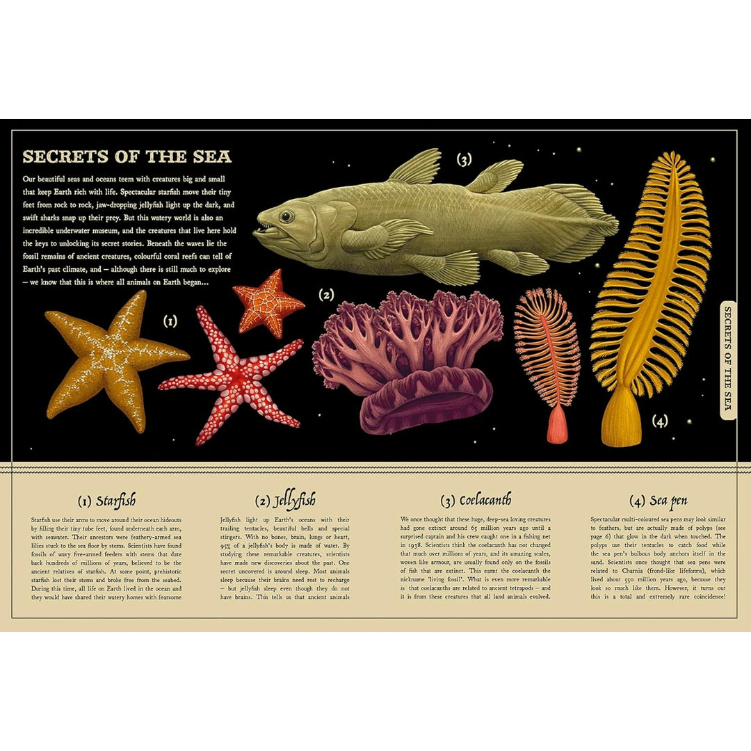 Secret Stories of Nature: A Field Guide To Uncover Our Planet's Past
