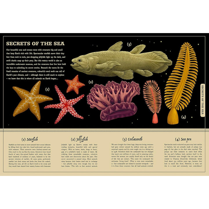 Secret Stories of Nature: A Field Guide To Uncover Our Planet's Past