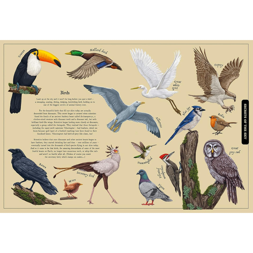 Secret Stories of Nature: A Field Guide To Uncover Our Planet's Past