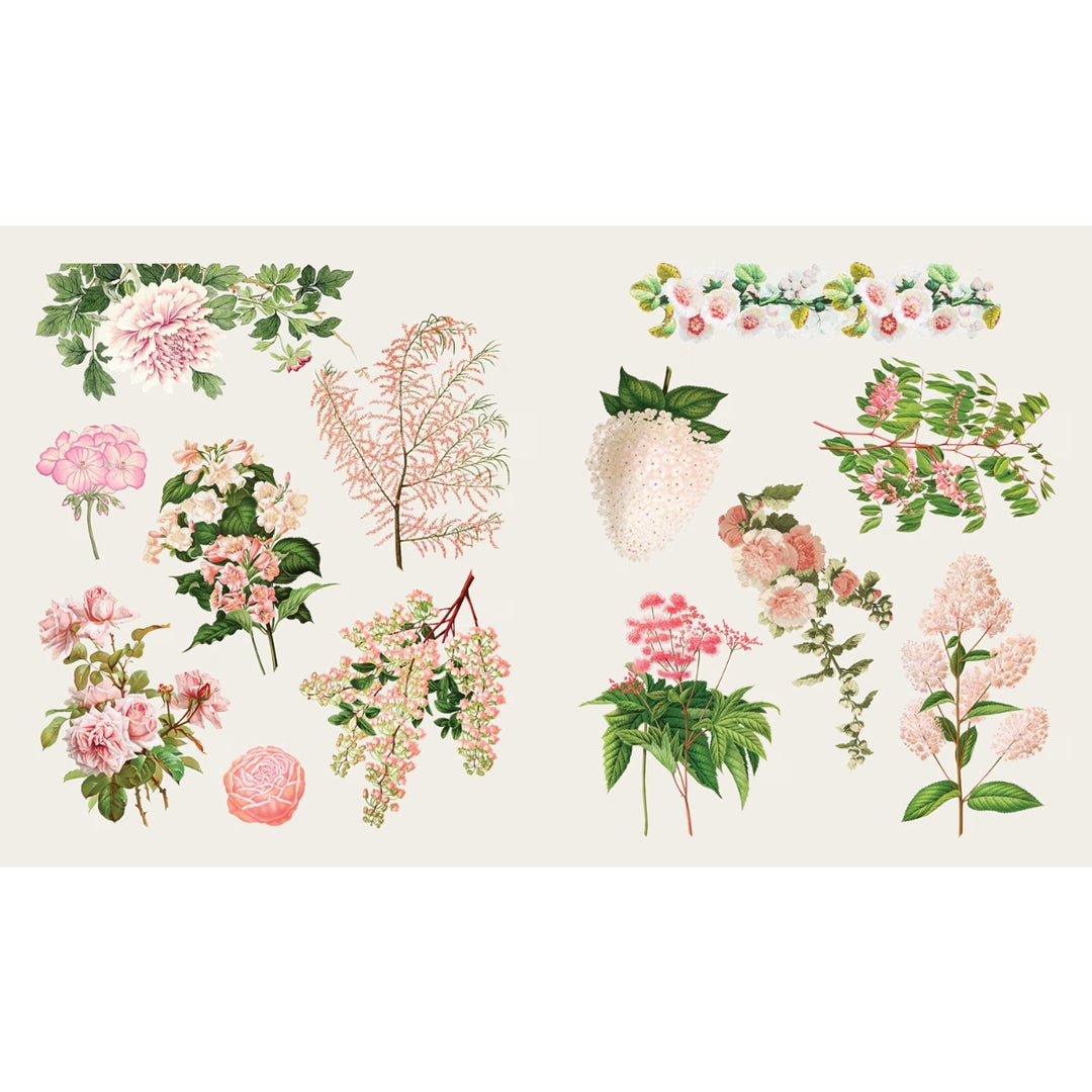 The Sticker Treasury of Blooms and Butterflies