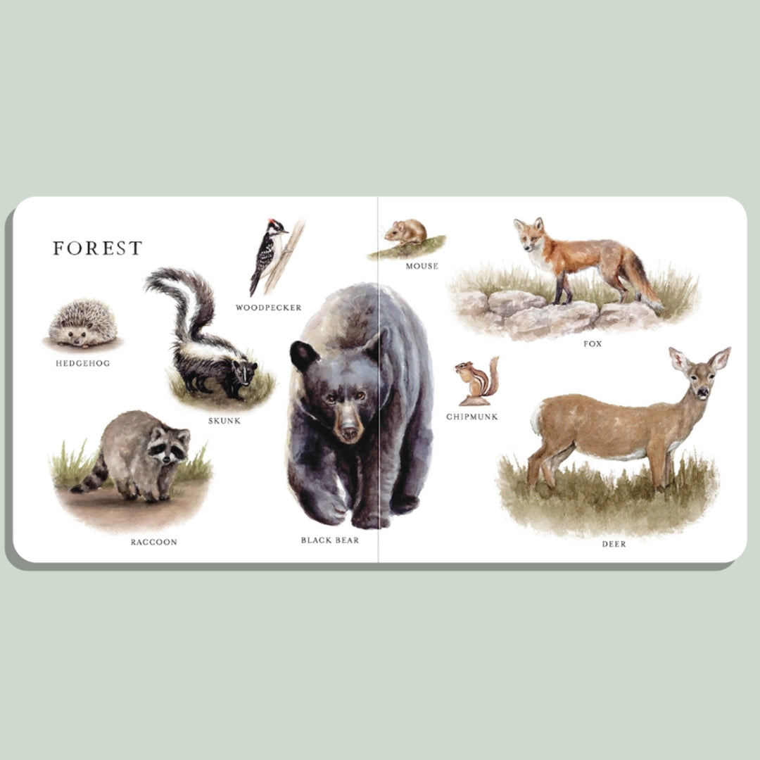 Our Big Book of Animals (Board Book)