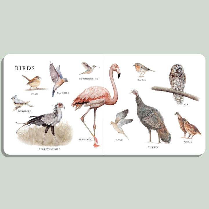 Our Big Book of Animals (Board Book)