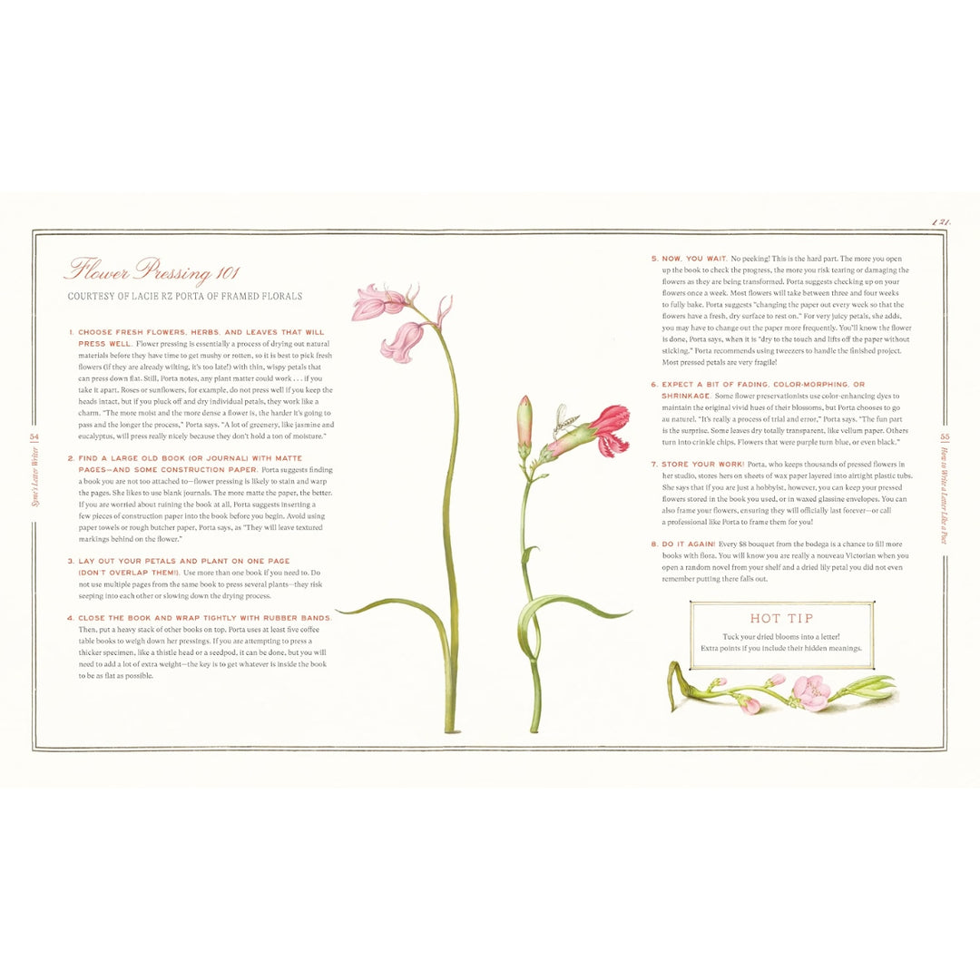 Syme's Letter Writer