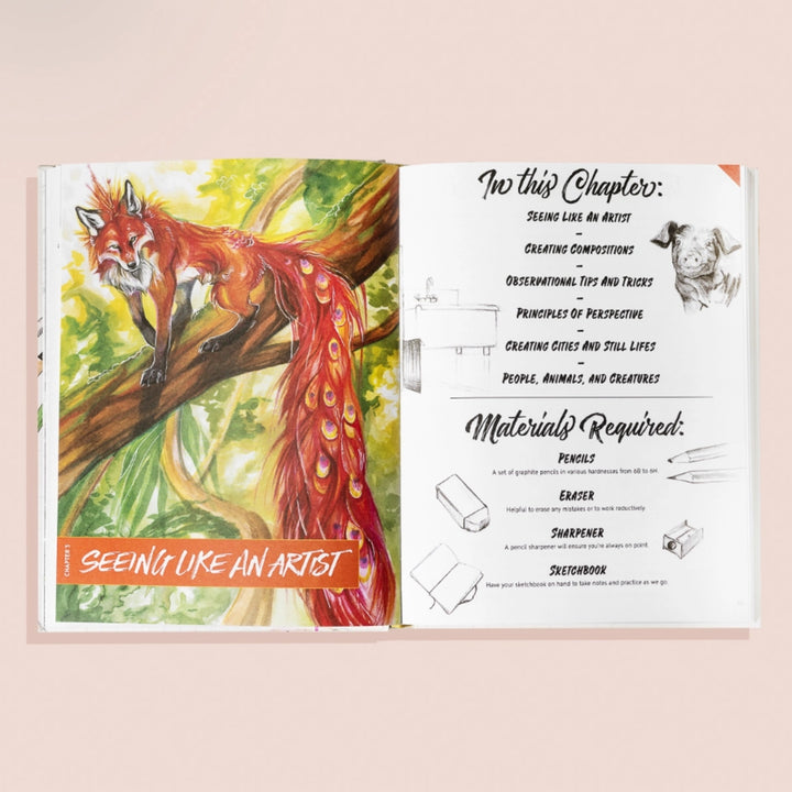 The Artist's Drawing Book (Learn How To Draw)