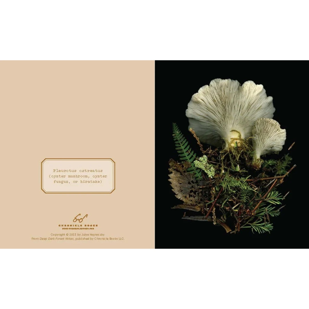 Deep Dark Forest Notes (Set of 20)