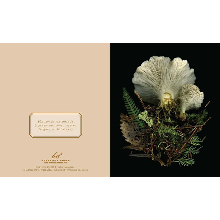 Deep Dark Forest Notes (Set of 20)