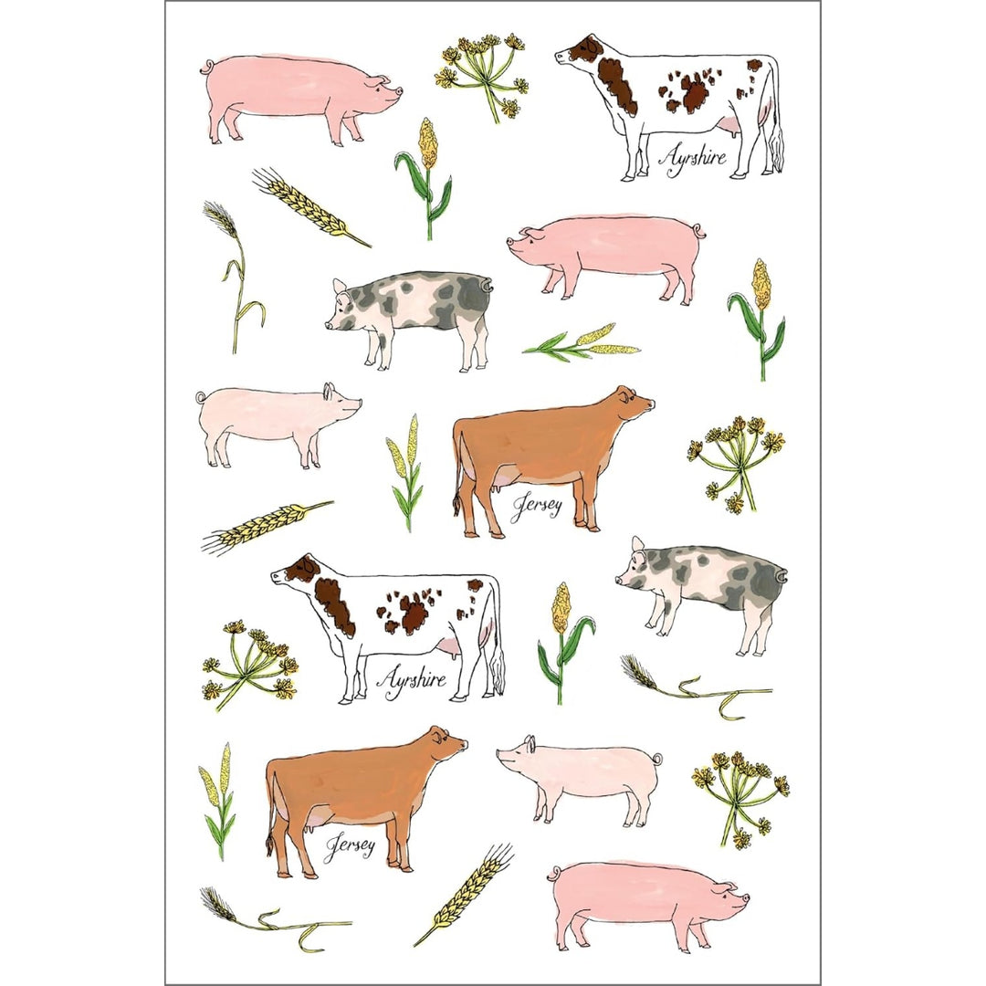 Farm Anatomy Sticker Book