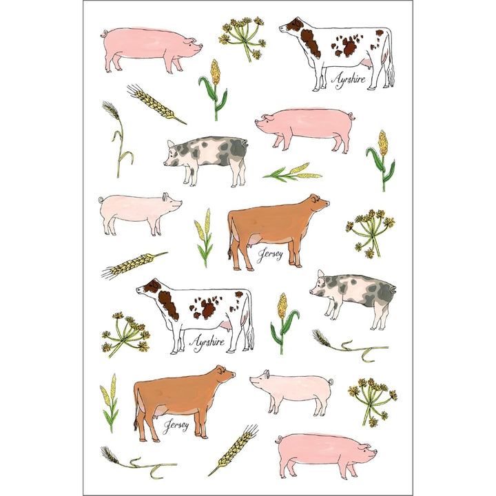 Farm Anatomy Sticker Book