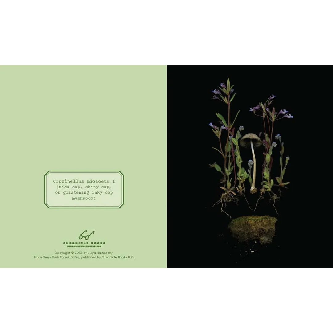 Deep Dark Forest Notes (Set of 20)