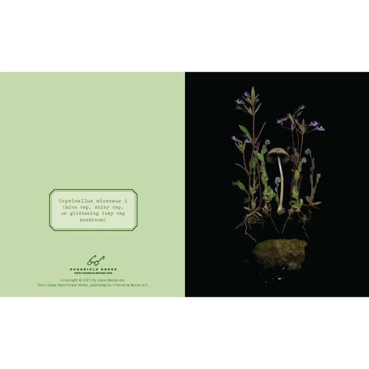 Deep Dark Forest Notes (Set of 20)