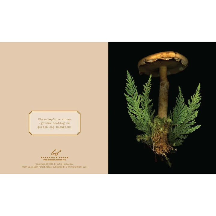 Deep Dark Forest Notes (Set of 20)