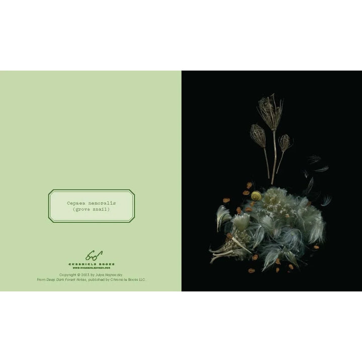 Deep Dark Forest Notes (Set of 20)