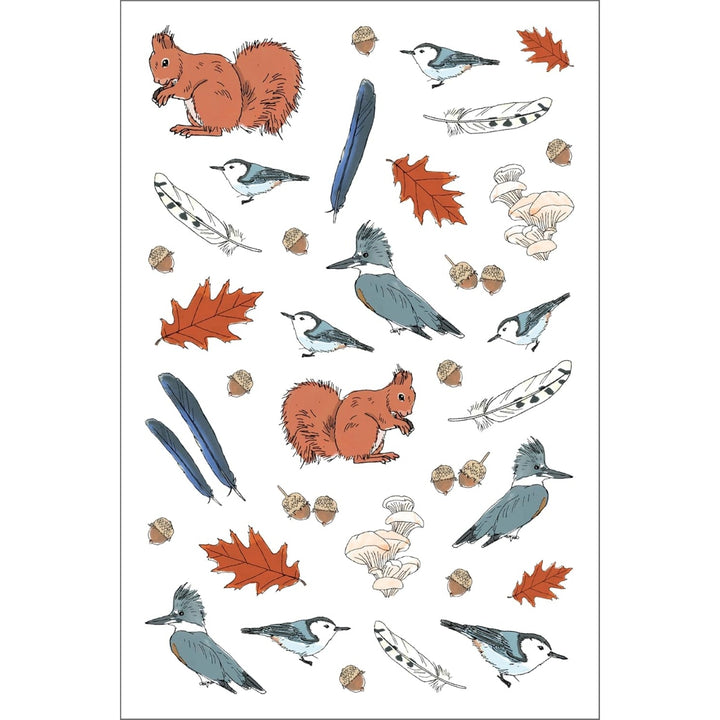 Nature Anatomy Sticker Book
