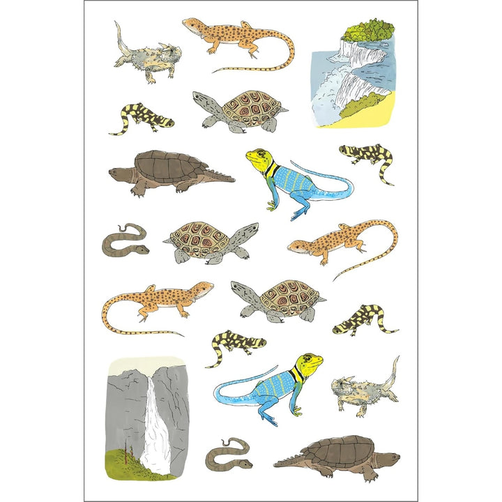 Nature Anatomy Sticker Book