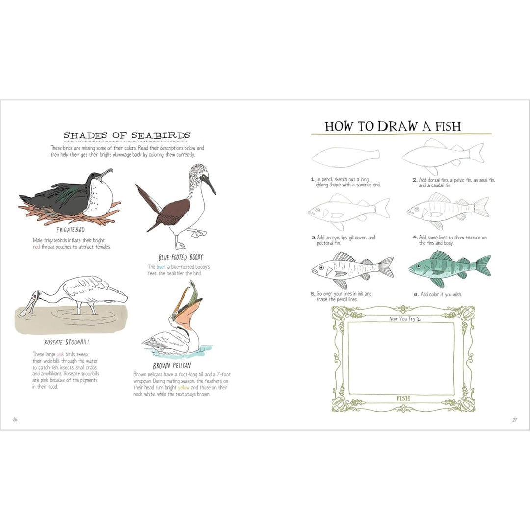 Ocean Anatomy Activity Book