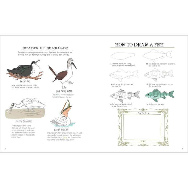 Ocean Anatomy Activity Book
