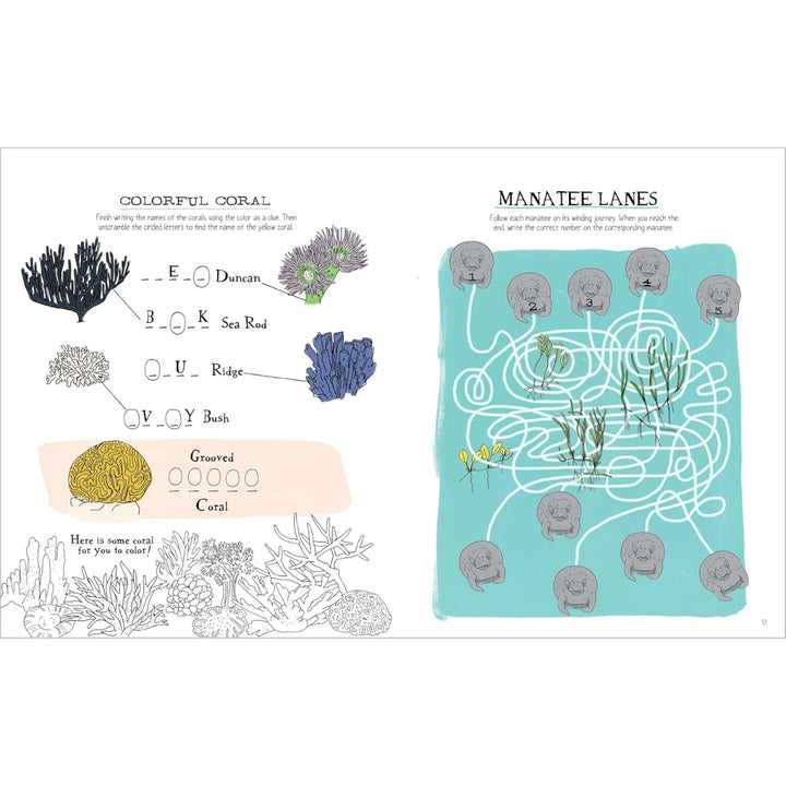 Ocean Anatomy Activity Book