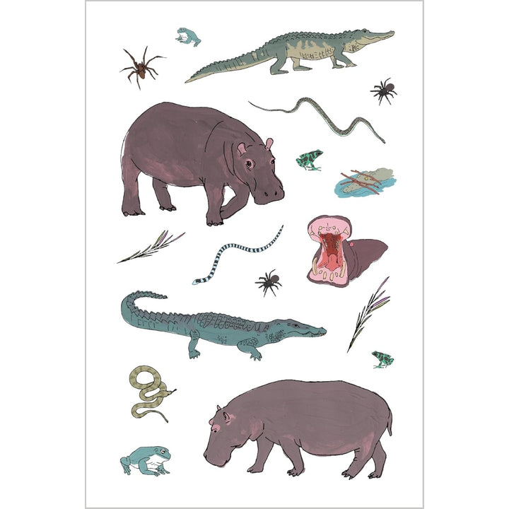 Wildlife Anatomy Sticker Book
