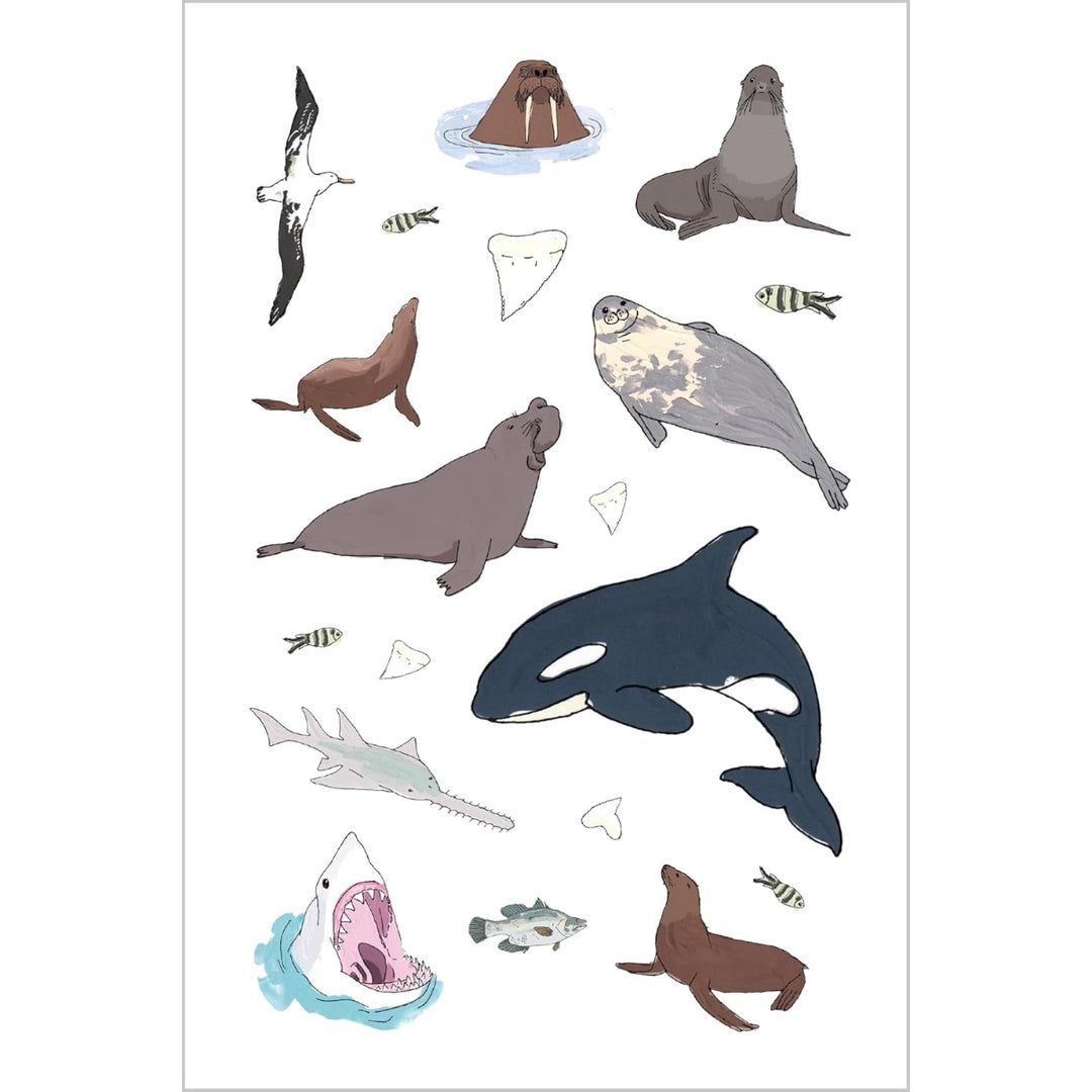 Wildlife Anatomy Sticker Book
