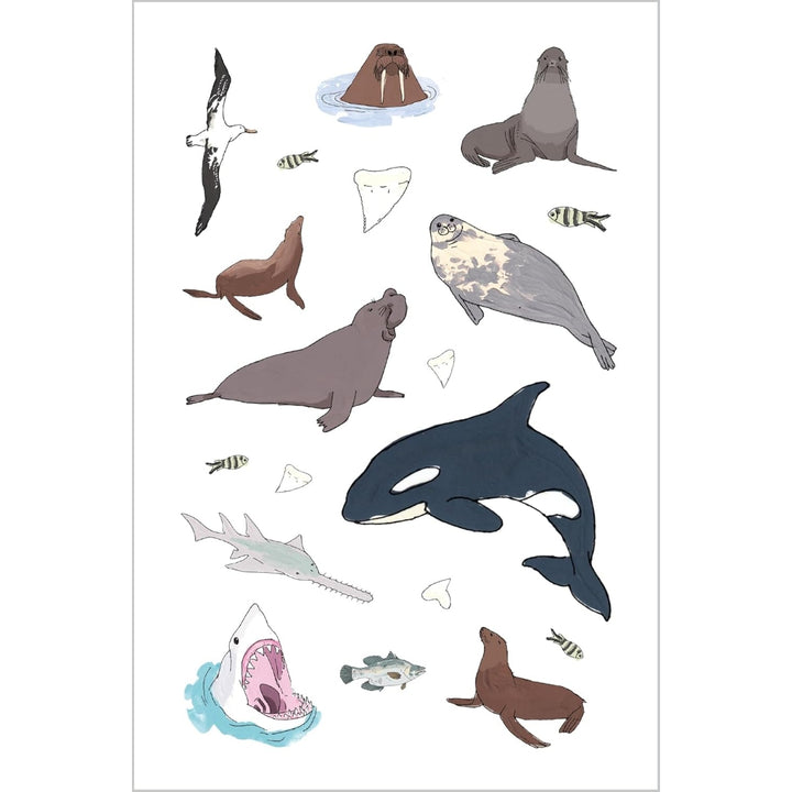 Wildlife Anatomy Sticker Book