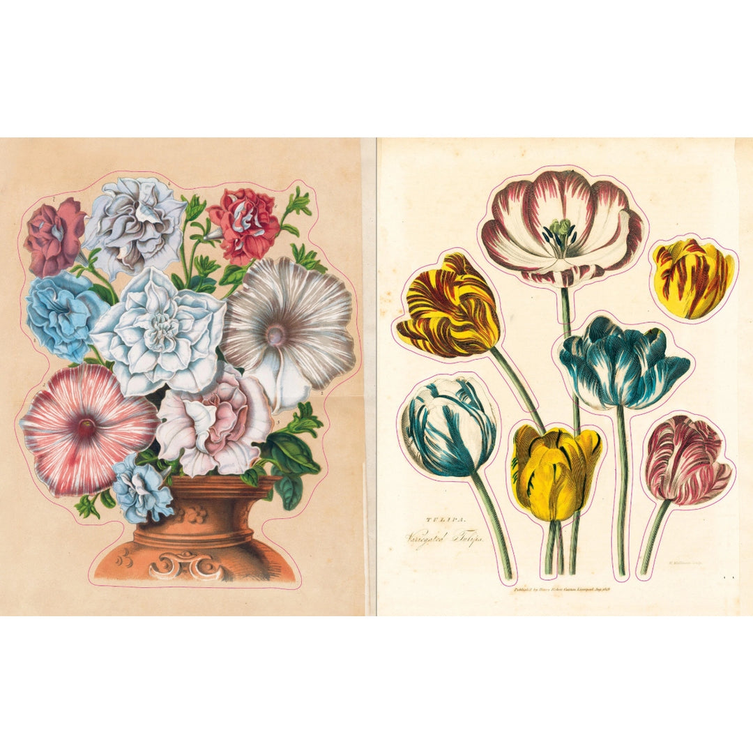John Derian Sticker Book