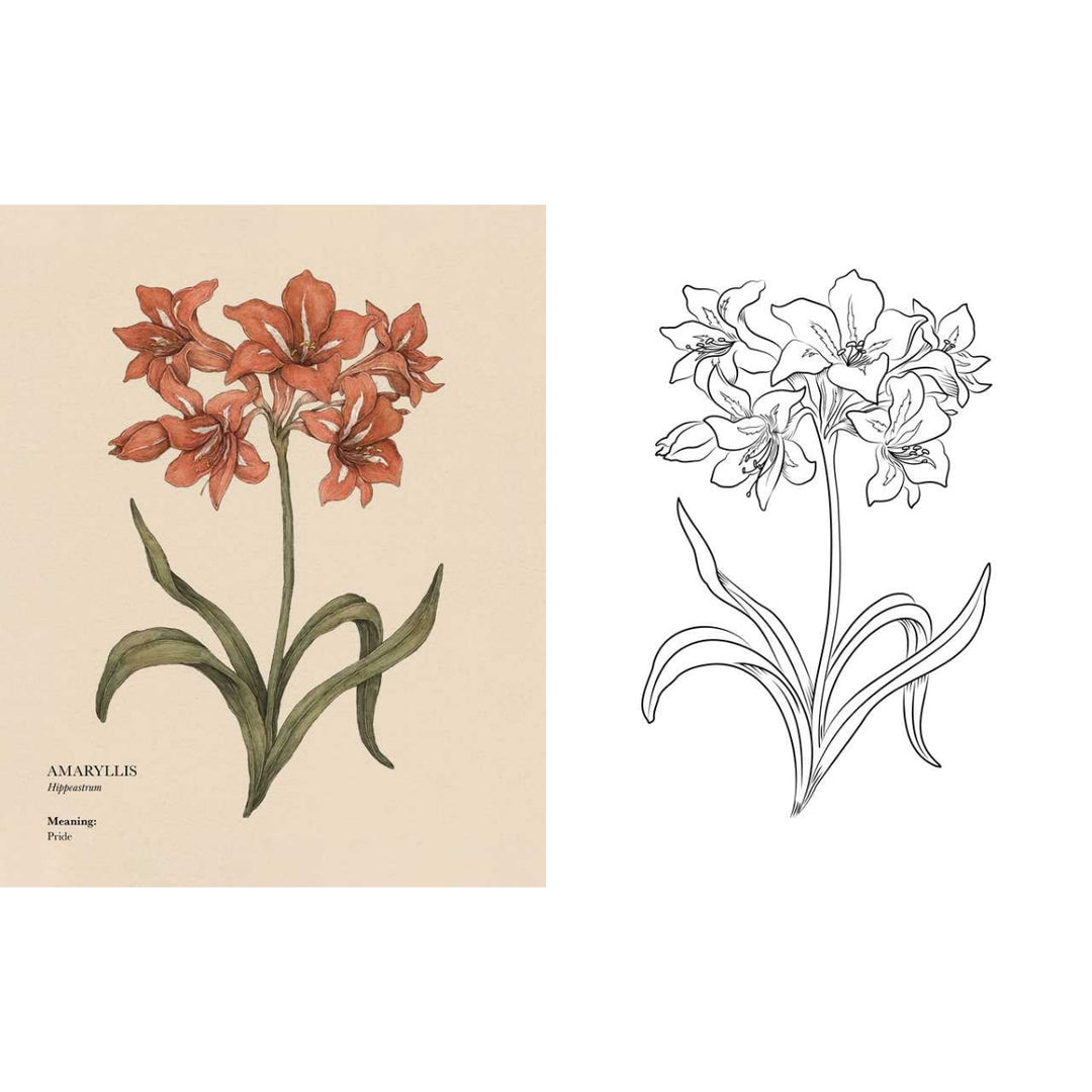 Floriography Coloring Book By Jessica Roux
