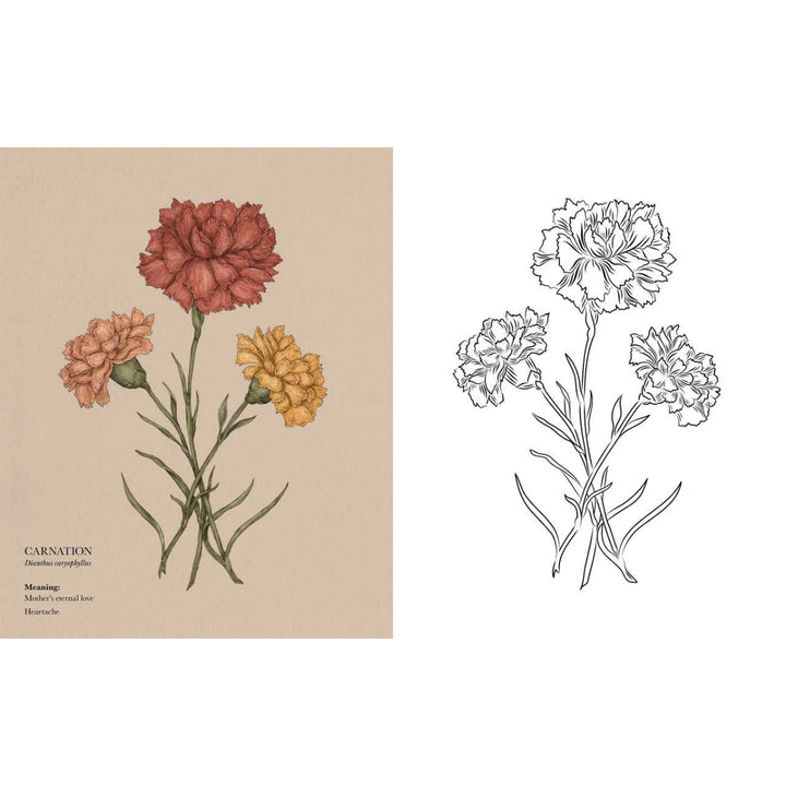 Floriography Coloring Book By Jessica Roux