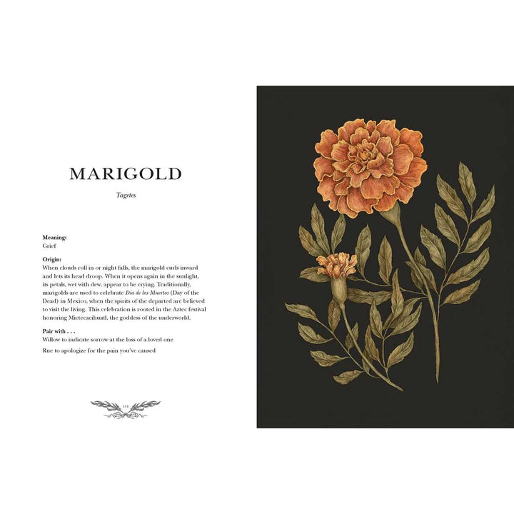 Floriography By Jessica Roux