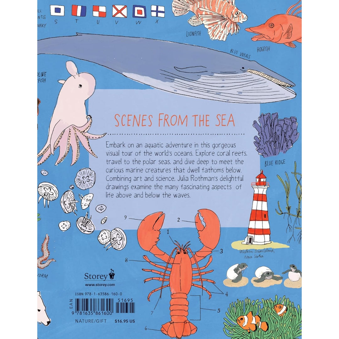 Ocean Anatomy - The Curious Parts & Pieces