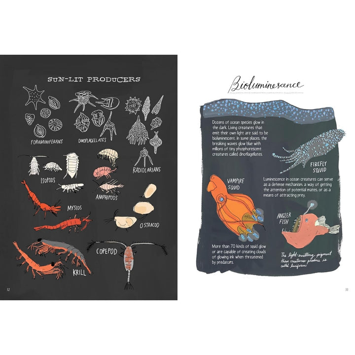 Ocean Anatomy - The Curious Parts & Pieces
