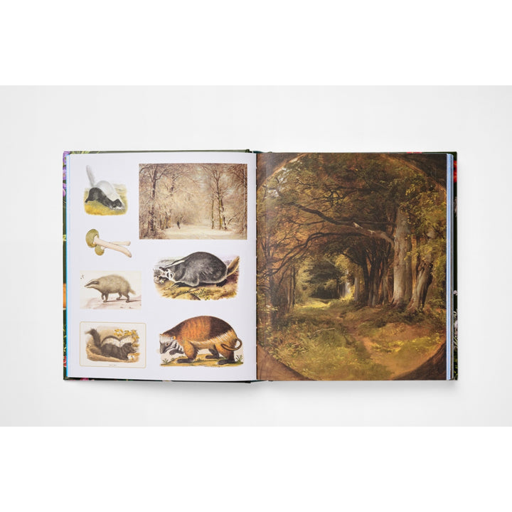 The Sticker Treasury of Woodland Adventures