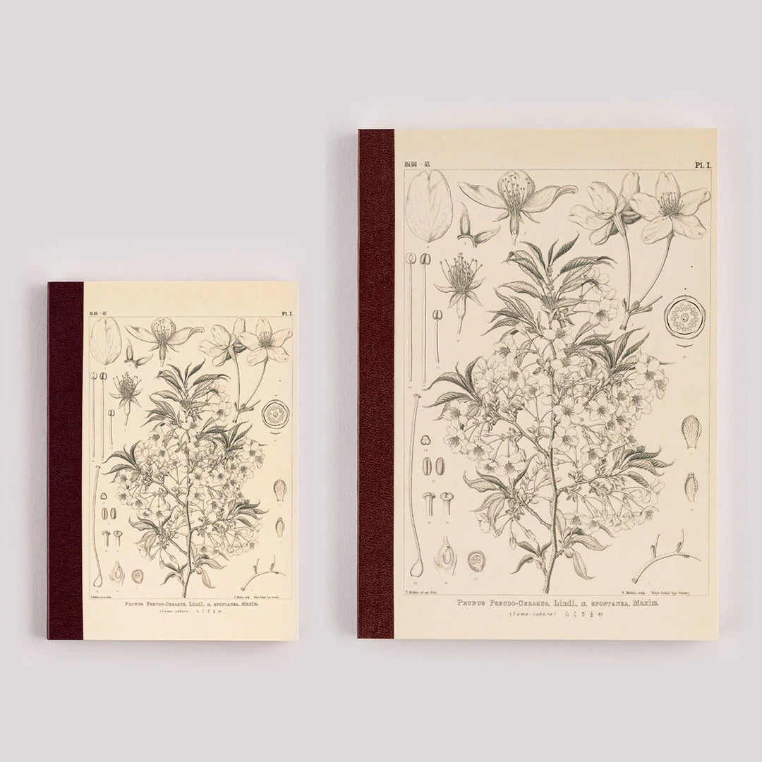 Hobonichi Plain Notebook - Yamazakura by Tomitaro Makino (A5 & A6)