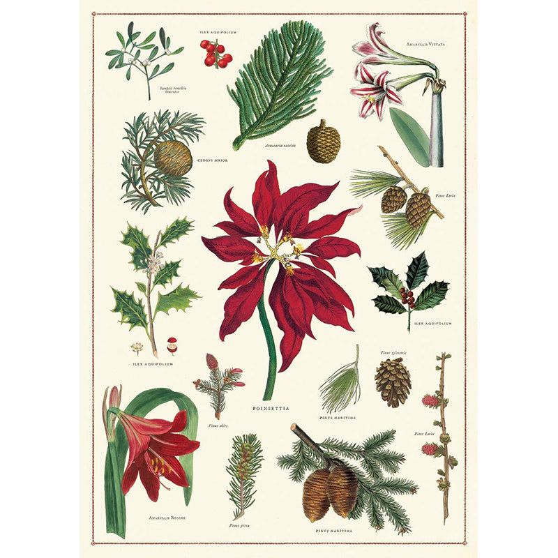 Cavallini Flat Wrap - Christmas Botanical