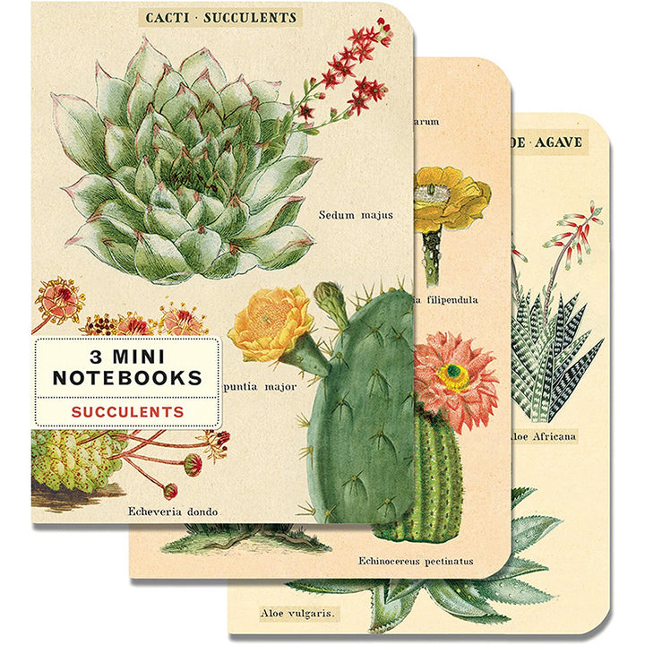 Mini Notebooks - Succulent