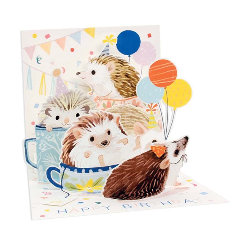 Hedgehog Treasures Pop-up Card