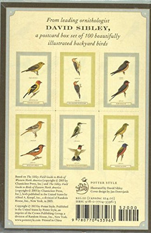Sibley Backyard Birding Postcards: 100 Postcards