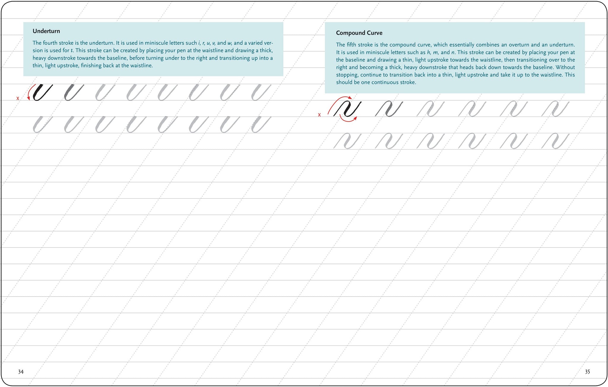 Brush Lettering From A to Z