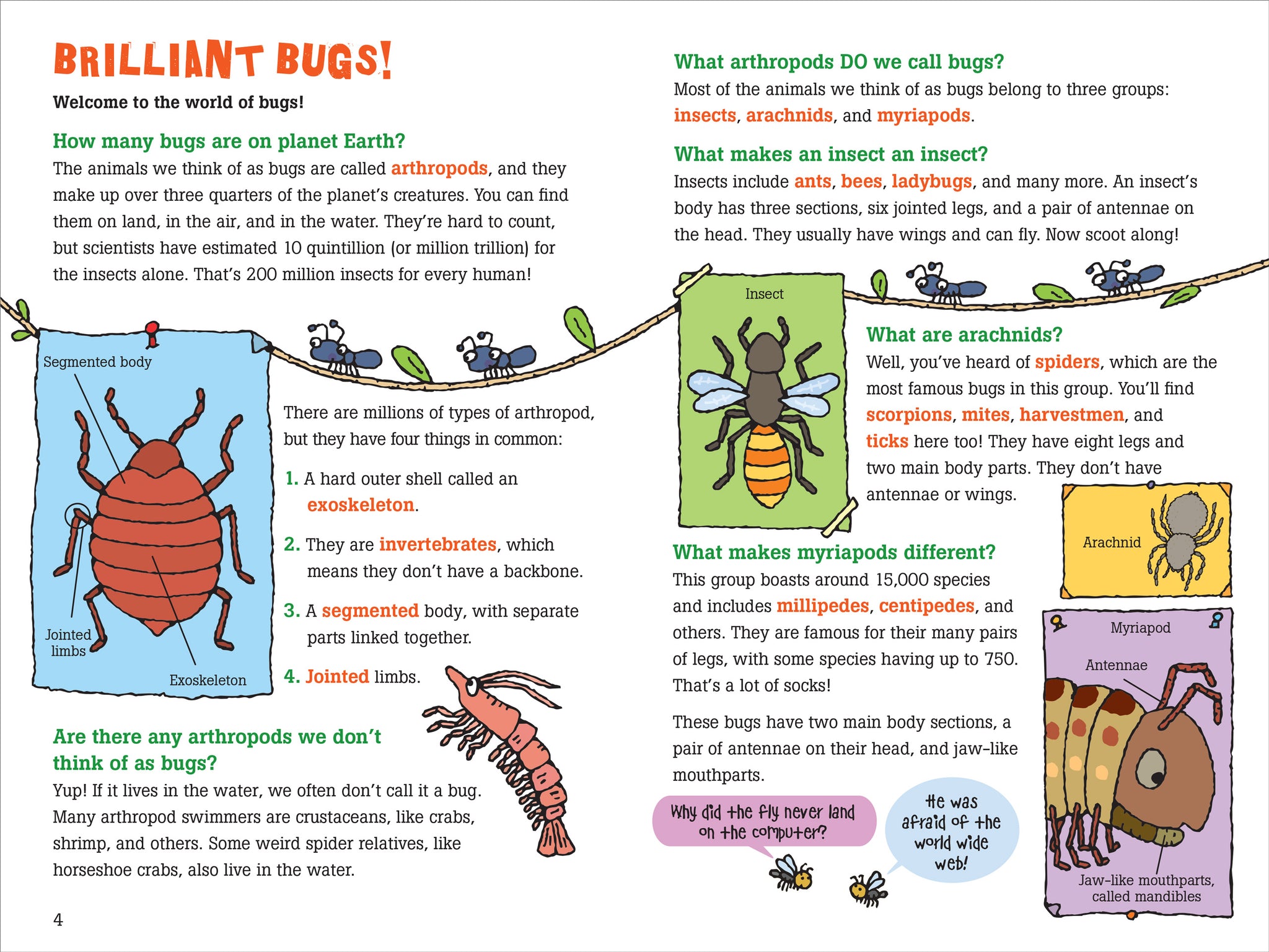 100 Questions about Bugs