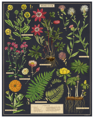Herbarium 1,000 Piece Puzzle