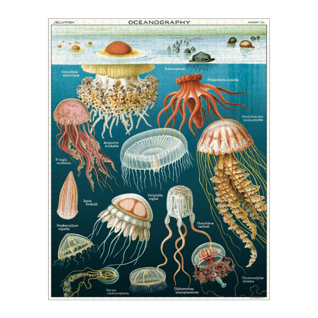 Jellyfish 1,000 Piece Puzzle