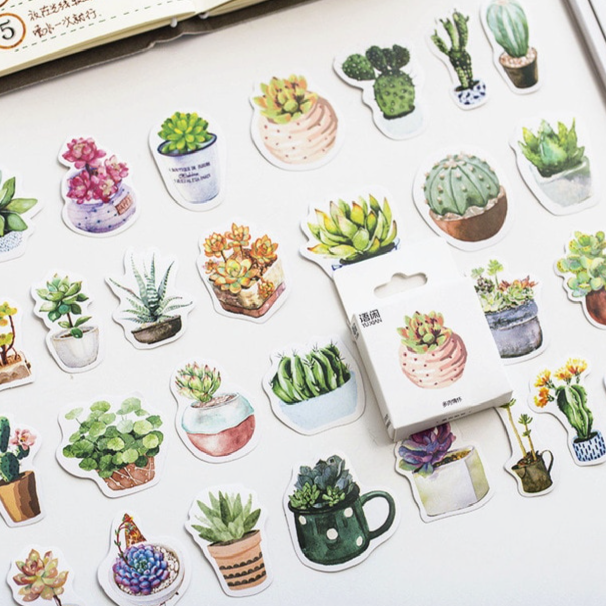 Succulent Stickers - pack of 45