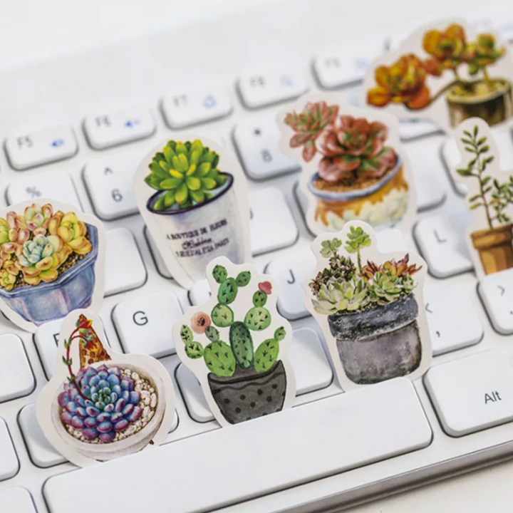 Succulent Stickers - pack of 45