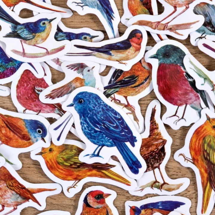 Colorful Bird Stickers - pack of 45