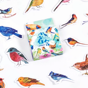 Colorful Bird Stickers - pack of 45