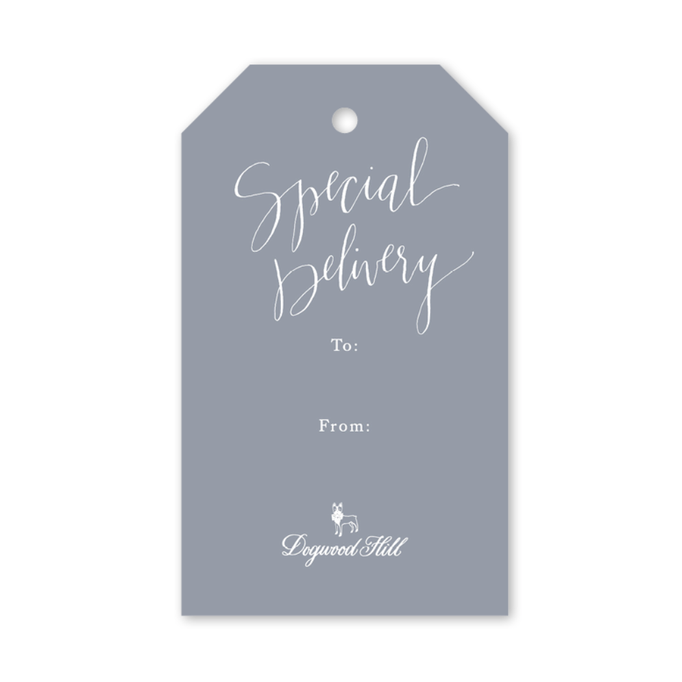 Stork Delivery Gift Tags (Set of 10)