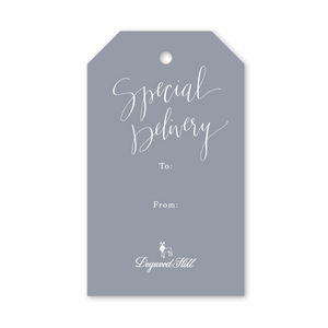 Stork Delivery Gift Tags (Set of 10)