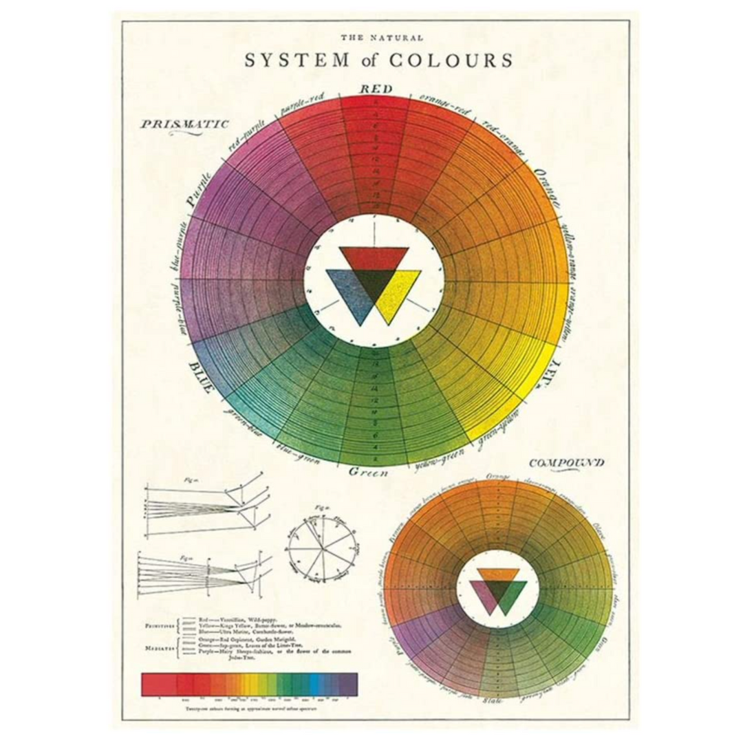 Cavallini Flat Wrap - Color Wheel