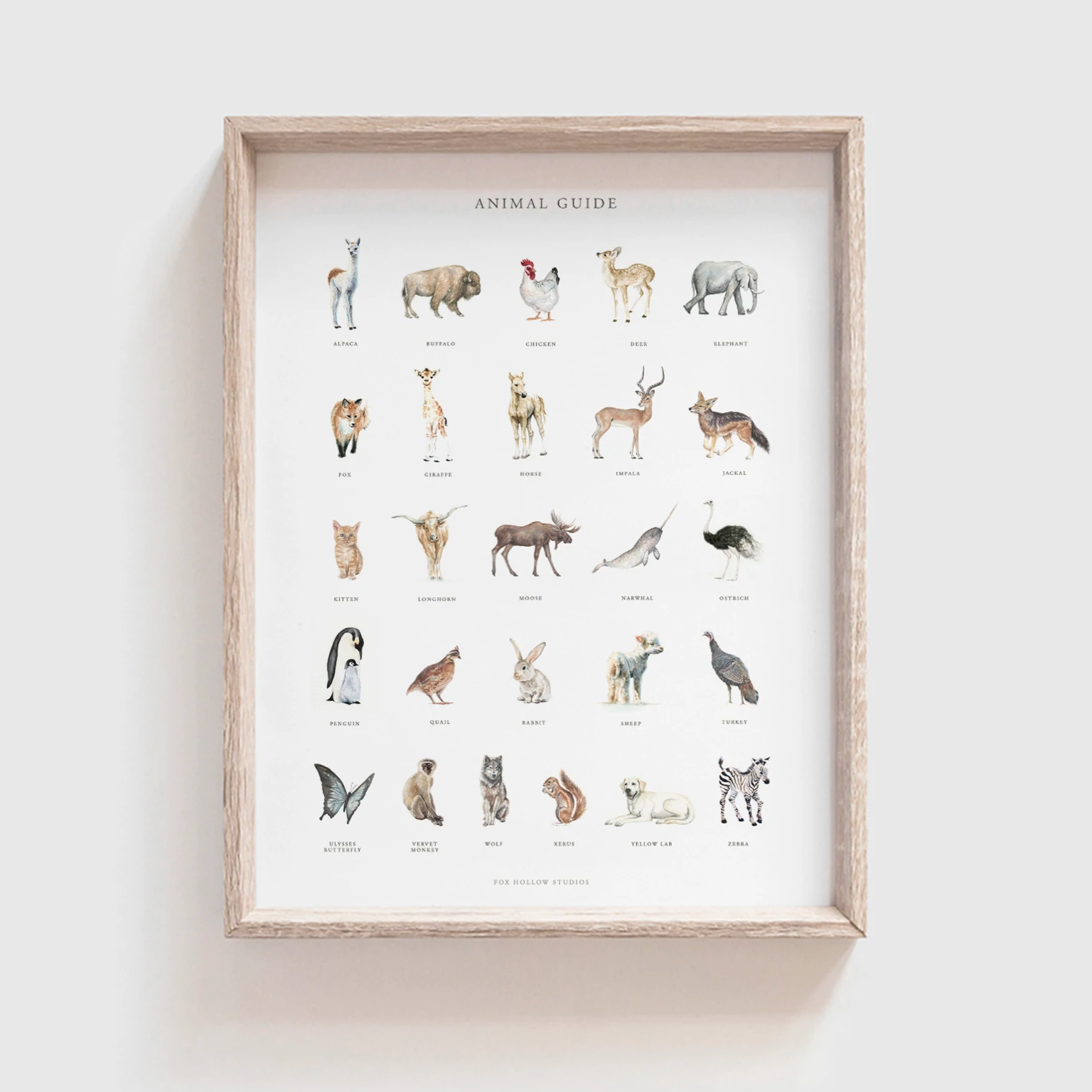 Animal Guide Alphabet Art Print